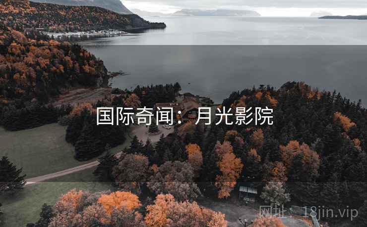 国际奇闻:月光影院
