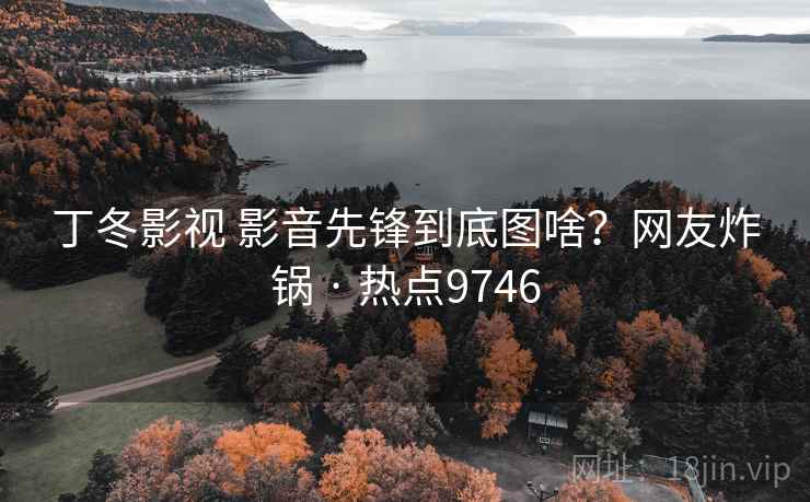 丁冬影视 影音先锋到底图啥？网友炸锅 · 热点9746