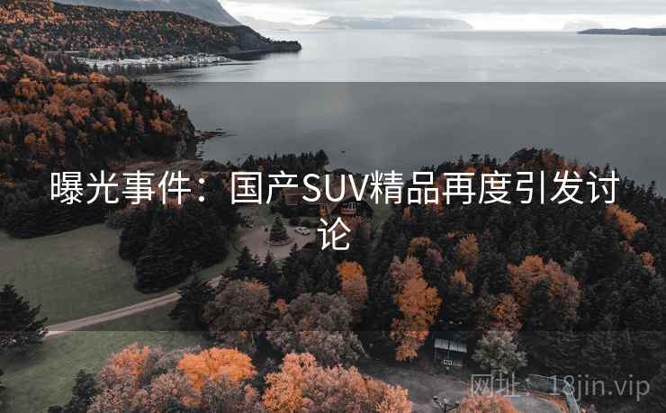 曝光事件：国产SUV精品再度引发讨论